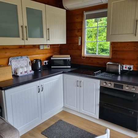 Tanygrisiau Mountain View Log Cabin In Snowdonia Nr Coed Y Brenin מראה חיצוני תמונה