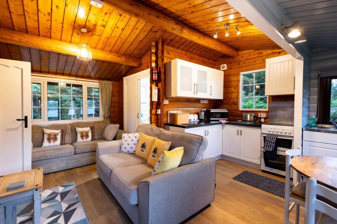 Tanygrisiau Mountain View Log Cabin In Snowdonia Nr Coed Y Brenin מראה חיצוני תמונה